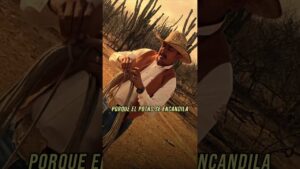 Amansando Un cimarron